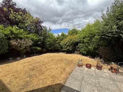 Picture 20